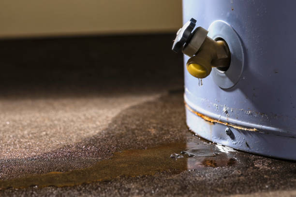 Best Carpet water damage restoration  in Mount Dora, FL