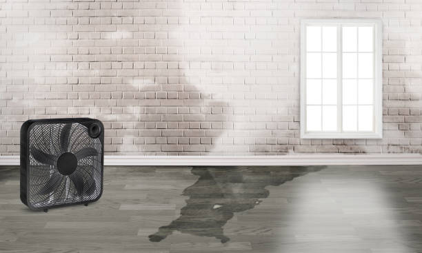 , FL Water damage restoration Company
