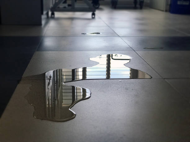 Best Water damage restoration experts  in Mount Dora, FL