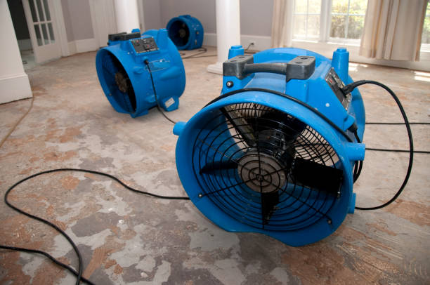 Best 24-hour water damage restoration  in Mount Dora, FL