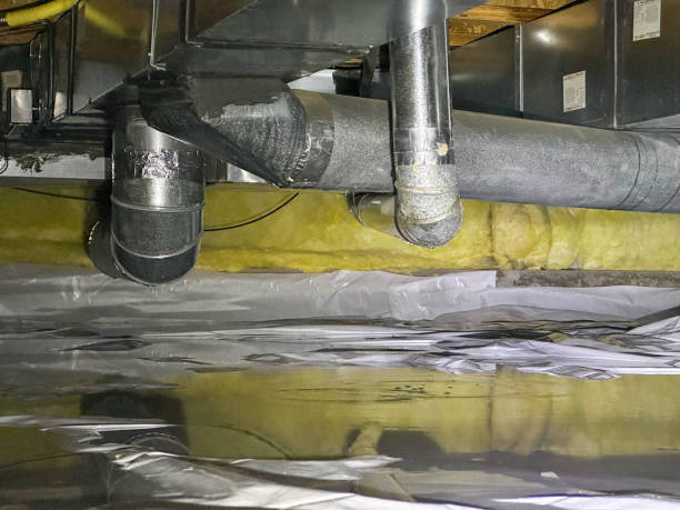 Best Water damage restoration near me  in Mount Dora, FL