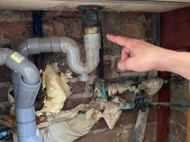 Best Water damage cleanup near me  in Mount Dora, FL