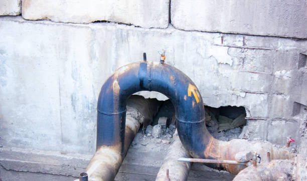 Best Water damage contractors near me  in Mount Dora, FL